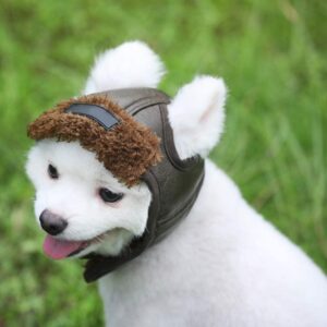 Chapeau aviateur pour chien en cuir PU